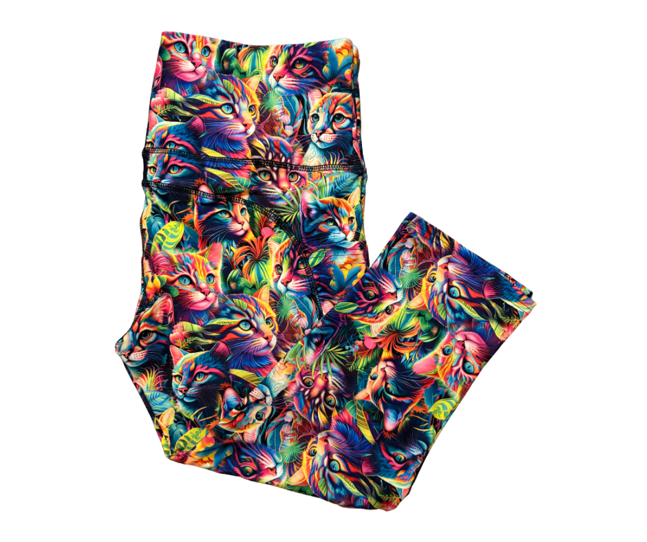 Rainbow Whiskers thigh pocket Capri leggings