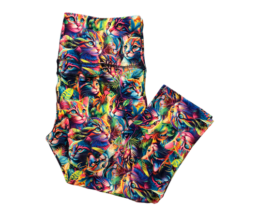 Rainbow Whiskers thigh pocket Capri leggings